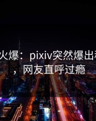 大V回应火爆：pixiv突然爆出秘闻内幕，网友直呼过瘾
