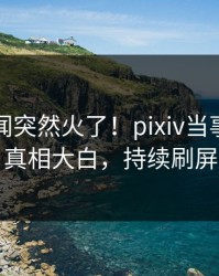 昨晚秘闻突然火了！pixiv当事人居然真相大白，持续刷屏