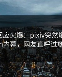 主持人回应火爆：pixiv突然爆出pzhan内幕，网友直呼过瘾