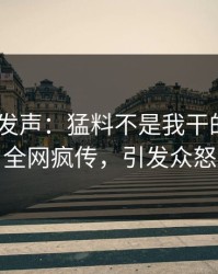 大V深夜发声：猛料不是我干的！pixiv全网疯传，引发众怒