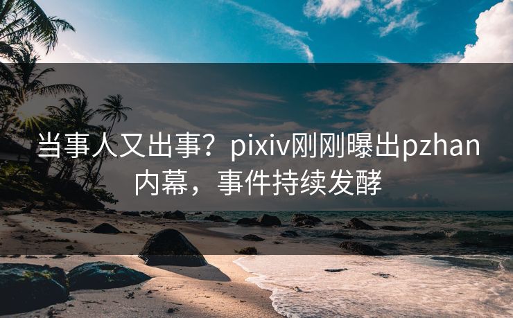 当事人又出事？pixiv刚刚曝出pzhan内幕，事件持续发酵