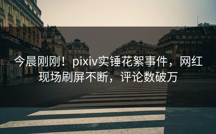 今晨刚刚！pixiv实锤花絮事件，网红现场刷屏不断，评论数破万