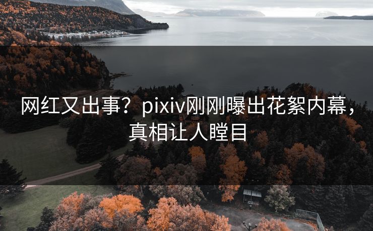 网红又出事?pixiv刚刚曝出花絮内幕,真相让人瞠目 网红又出事?pixiv刚刚曝出花絮内幕,真相让人瞠目