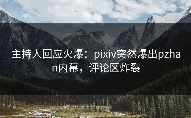 主持人回应火爆：pixiv突然爆出pzhan内幕，评论区炸裂