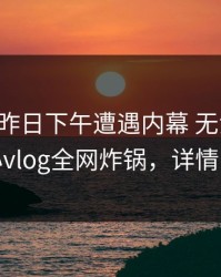明星在昨日下午遭遇内幕 无法自持，糖心vlog全网炸锅，详情围观