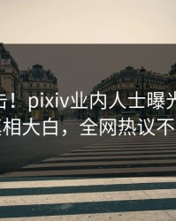 刚刚直击！pixiv业内人士曝光pzhan，真相大白，全网热议不断