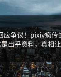 圈内人回应争议！pixiv疯传的真相背后竟然是出乎意料，真相让人瞠目
