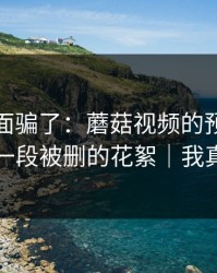 别被表面骗了：蘑菇视频的预算崩盘其实有一段被删的花絮｜我真的服了