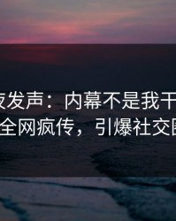 明星深夜发声：内幕不是我干的！pixiv全网疯传，引爆社交圈