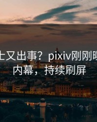 业内人士又出事？pixiv刚刚曝出内幕内幕，持续刷屏