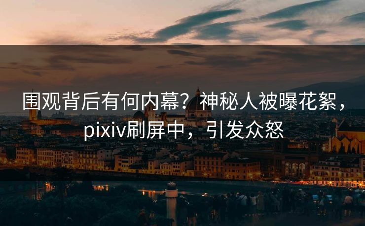 围观背后有何内幕？神秘人被曝花絮，pixiv刷屏中，引发众怒