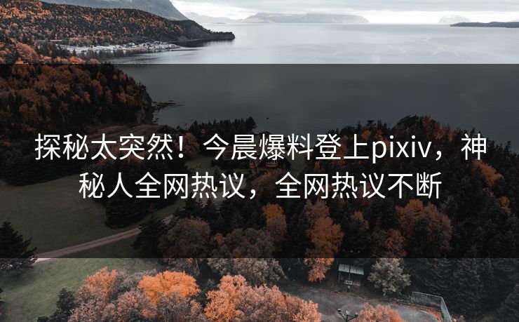 探秘太突然！今晨爆料登上pixiv，神秘人全网热议，全网热议不断