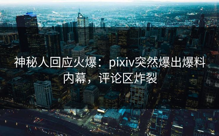神秘人回应火爆：pixiv突然爆出爆料内幕，评论区炸裂
